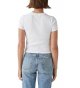 Women's Basic Cropped Tee - Crew Neck, Short Sleeve